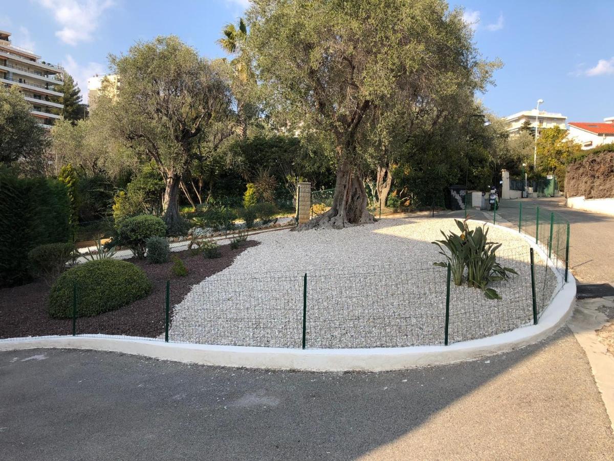 Beautiful T3 Terrasse ניס מראה חיצוני תמונה